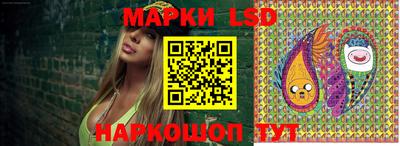 стафф Донецк