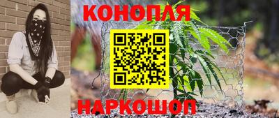 стафф Донецк